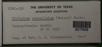 Image Associated With the Occurence